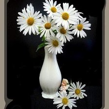 Схема вышивки «ромашки»