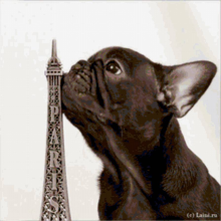 собачка - собаки, животные - предпросмотр