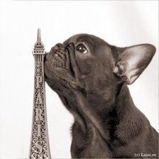 Схема вышивки «собачка»