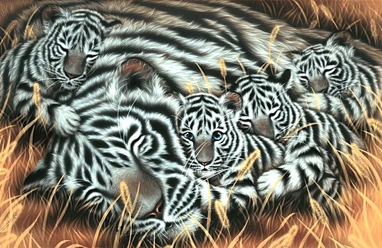 Полосатый сон - животные, тигры - оригинал