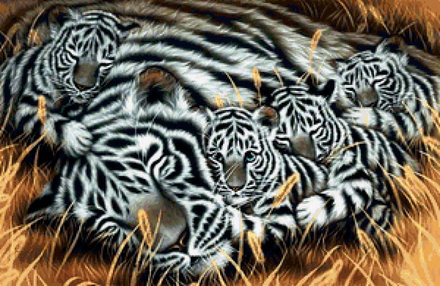 Полосатый сон - тигры, животные - предпросмотр