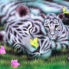 Полосатый сон