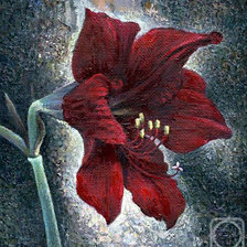 Схема вышивки «аленький цветочек»