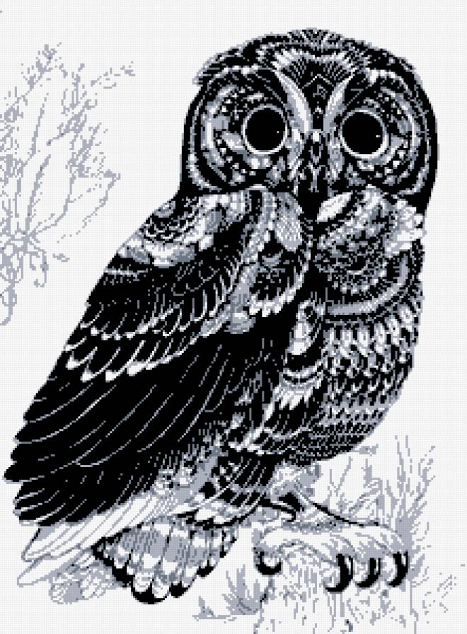 Совушка-сова - монохром, птица - предпросмотр