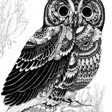 Совушка-сова