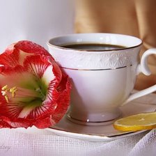 Схема вышивки «№196955»