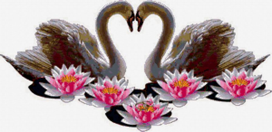 Пара лебедей - предпросмотр