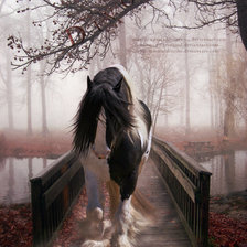 Схема вышивки «№196975»