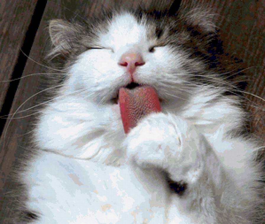 чистота - залог здоровья - предпросмотр