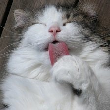 Схема вышивки «чистота - залог здоровья»