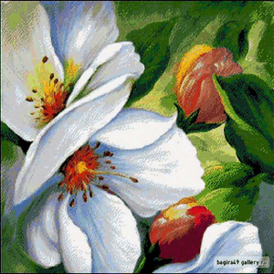 яблоневый цвет - цветок, весна, цветы - предпросмотр