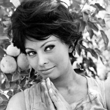 Схема вышивки «Софи Лорен»