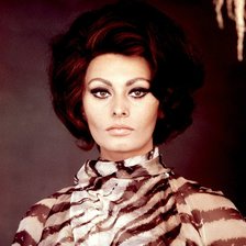 Схема вышивки «Софи Лорен»