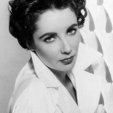 Схема вышивки «Элизабет Тейлор»