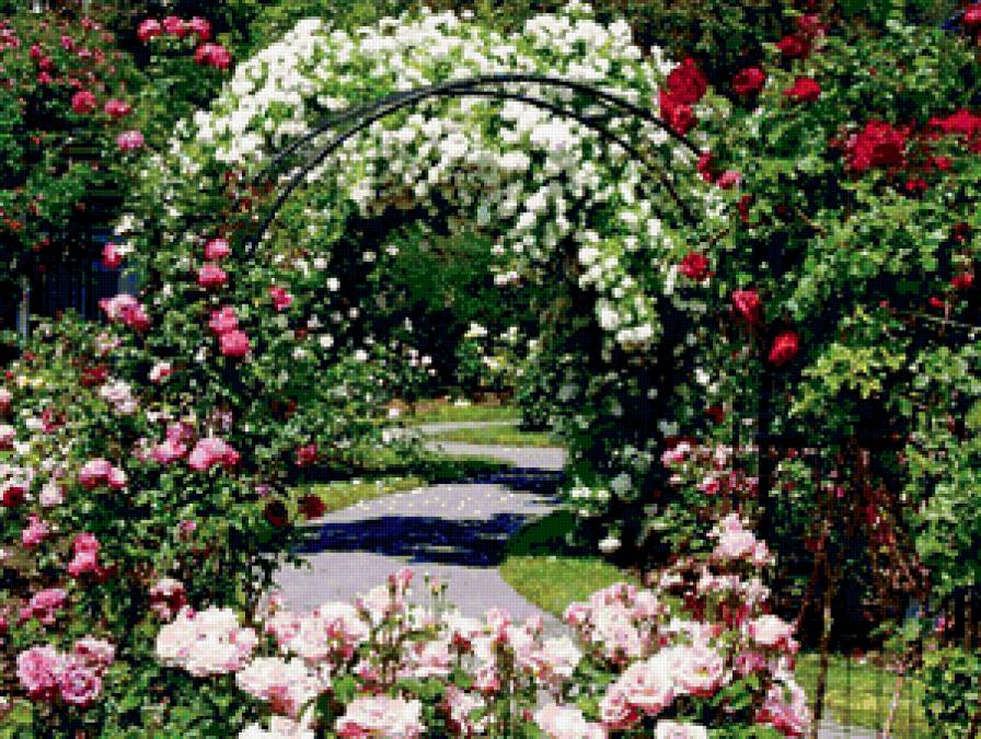 011 - парк, цветы, природа - предпросмотр