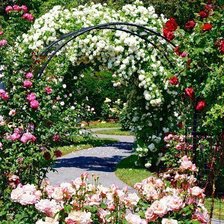 Схема вышивки «011»