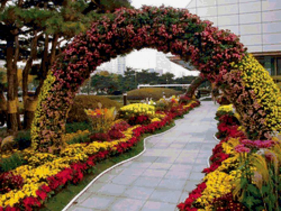 9666 - предпросмотр