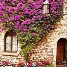 Схема вышивки «498»