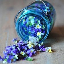 Схема вышивки «незабудки»