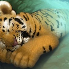 Схема вышивки «тигренок»