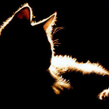 Схема вышивки «кошка»