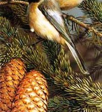 Схема вышивки «№197381»