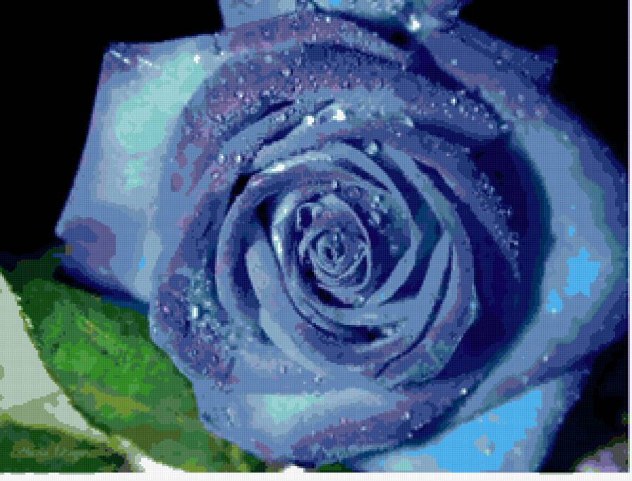 7 - предпросмотр