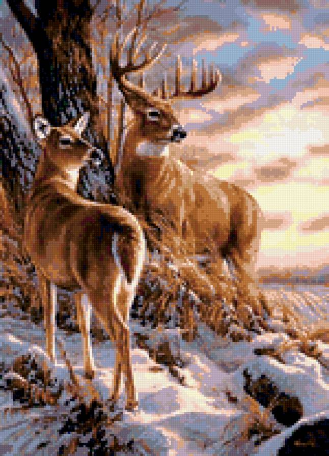 Олени - животные, олень - предпросмотр