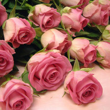 Схема вышивки «87687653»