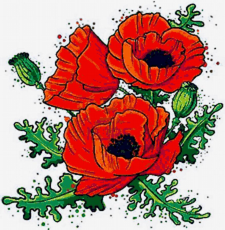 Маки - маки, картина, природа, цветы - предпросмотр