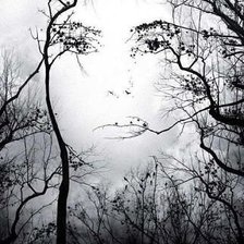 Схема вышивки «Единство»