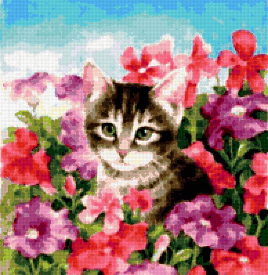 Киса - цветы, небо, котенок, котик - предпросмотр