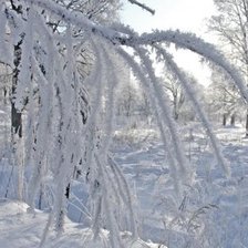 Схема вышивки «№197941»