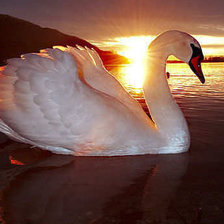 Схема вышивки «№197975»