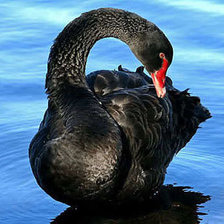 Схема вышивки «№197980»