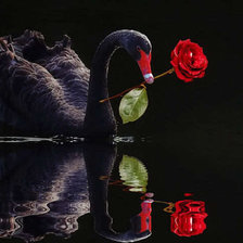 Схема вышивки «№197983»