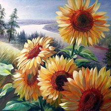 подсолнухи