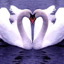 Схема вышивки «№198087»