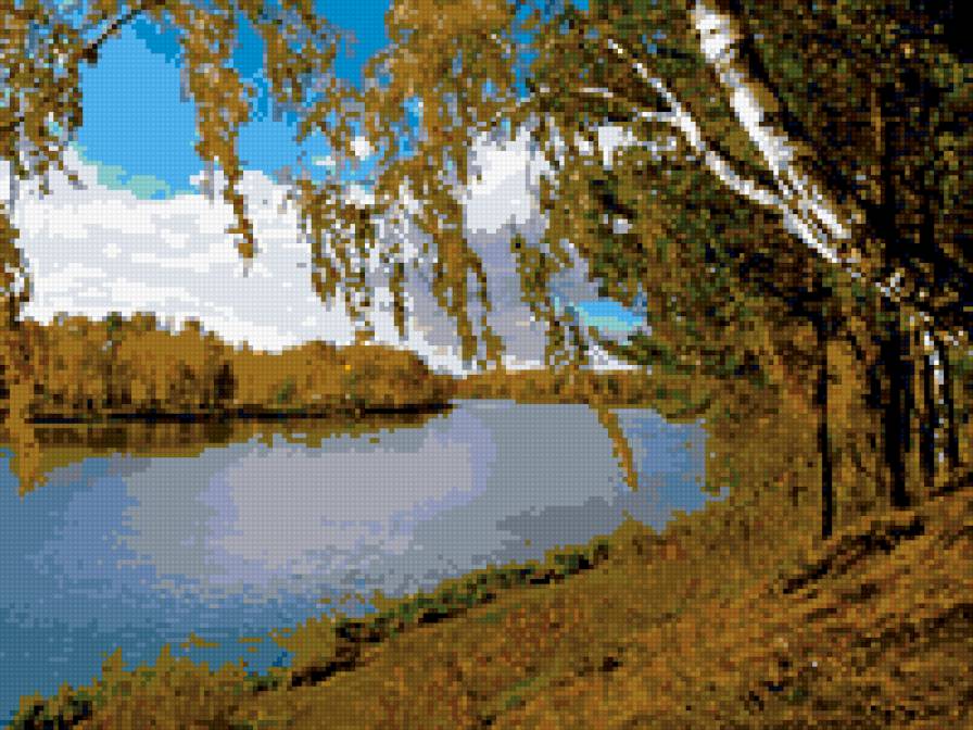 осень - березы, осень, деревья, природа - предпросмотр