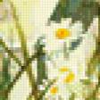 Предпросмотр схемы вышивки «Девочка с ромашками» (№198202)