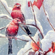 Схема вышивки «№198212»