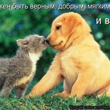 Схема вышивки «1»