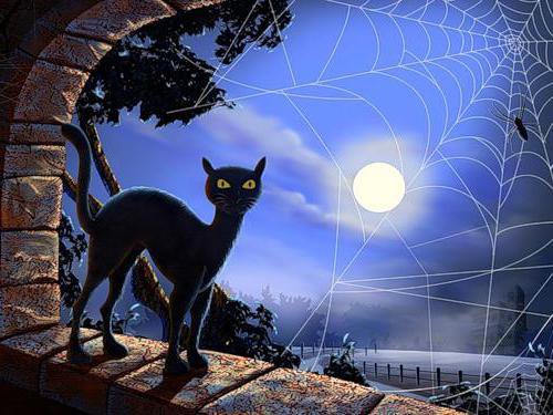 Черная кошка - луна, кошка, ночь - оригинал