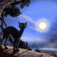 Черная кошка