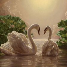 Схема вышивки «Лебеди»