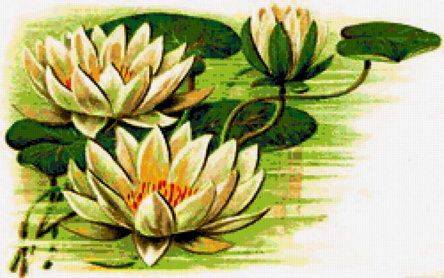 лотос - цветы, лотос, картина, лилии, подушка - предпросмотр