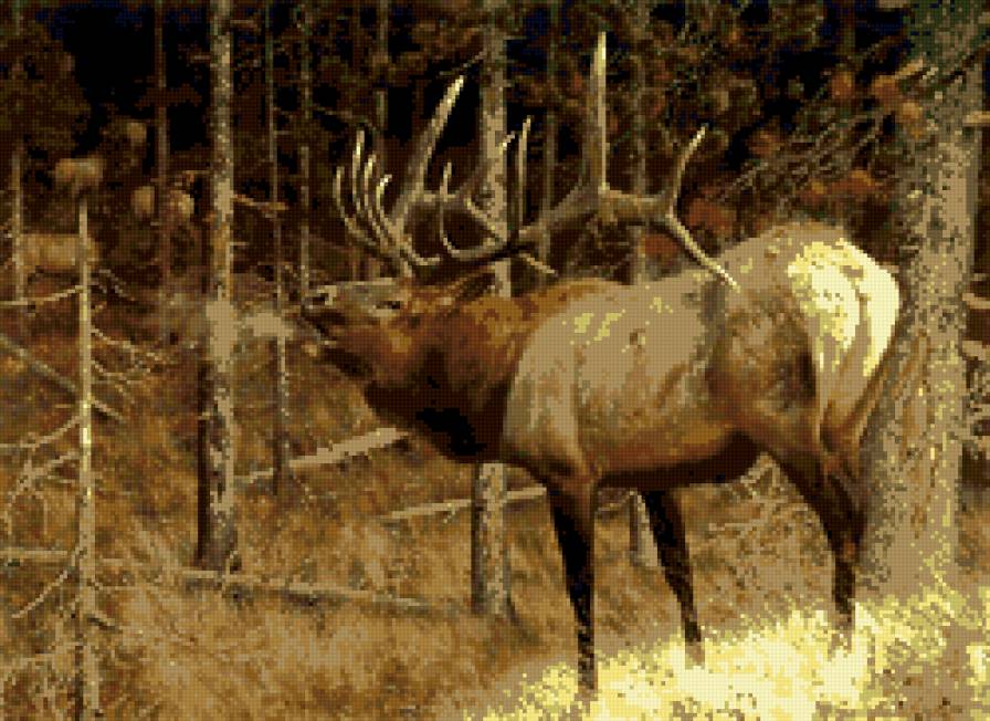 олень - осень, олень, лес - предпросмотр