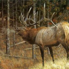 Схема вышивки «олень»