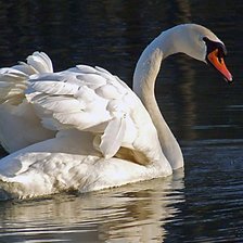 Схема вышивки «Лебедь»