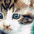 Предпросмотр схемы вышивки «серия "кошки"» (№198922)